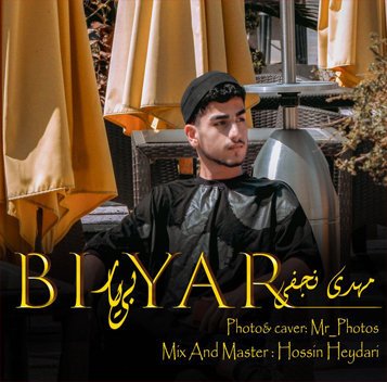 مهدی نجفی بی یار